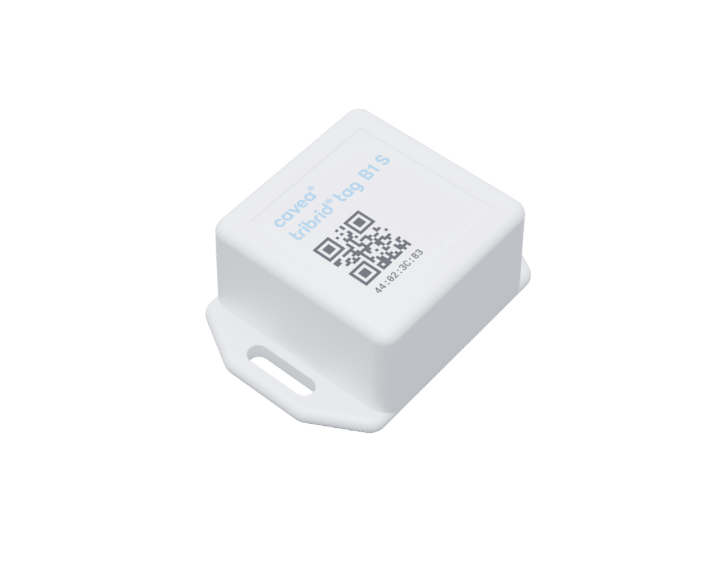 tag-b1s-perspective-label